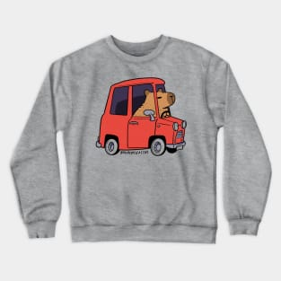 Capi 3 Crewneck Sweatshirt